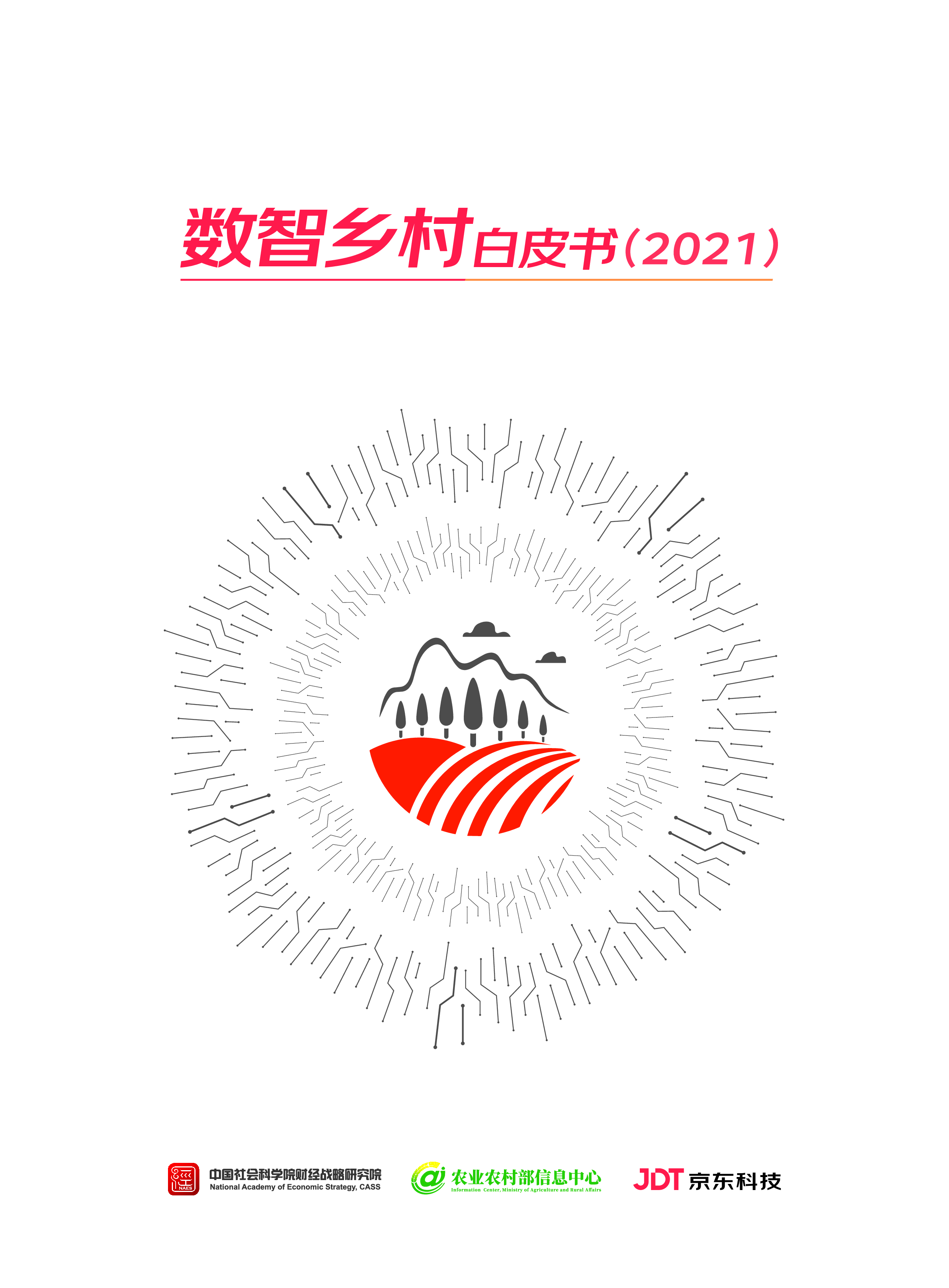 中国社会科学院农业农村部京东数智乡村白皮书202166页